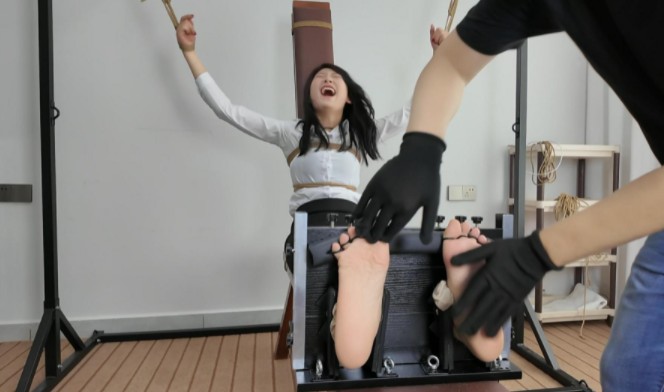164858yzp4yaimqzjjyy2l.png
